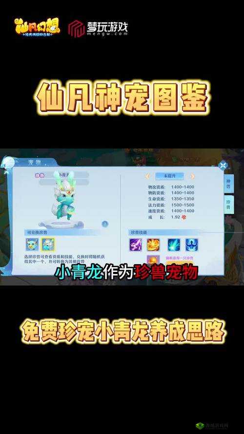 仙凡幻想前期宠物技能攻略,65级宠物技能打法全解析