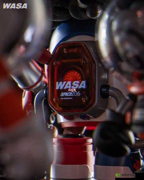 waswaskino 的独特魅力与精彩呈现