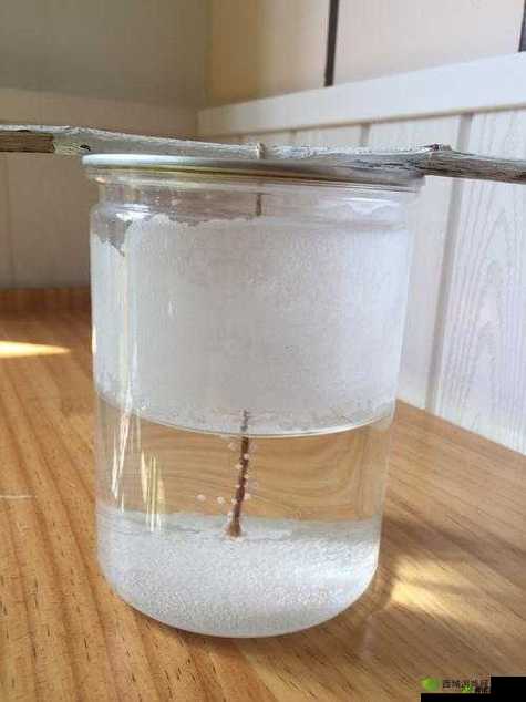 小烧货水能么多叫出来:探寻其背后的神秘缘由