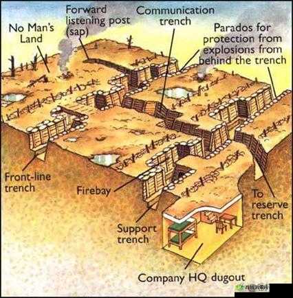 荒岛特训，军事基地掩体战术深度解析
