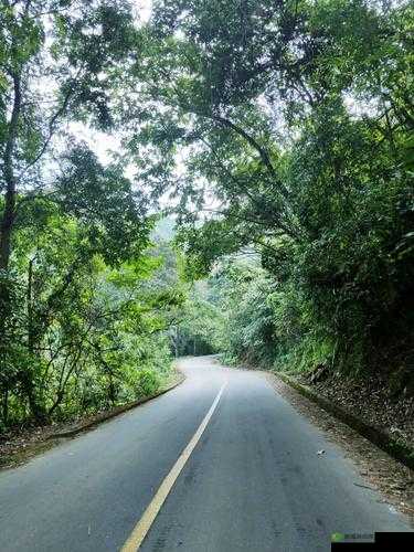 边境之旅，一场关于物品管理与空间优化的奇妙旅行