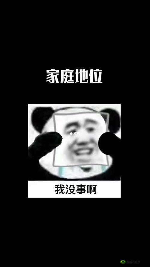 家有三狼君：温馨搞笑的家庭日常