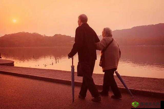 中国老年人老太 dadyTV:跨越年龄的爱与关怀