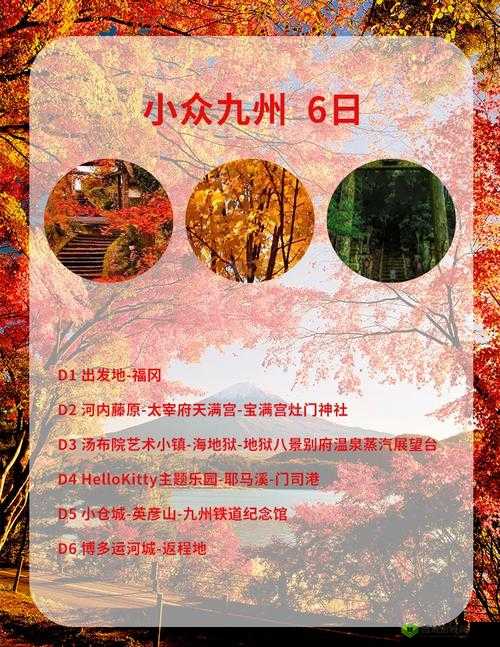 日本人 XXX :在异国他乡追寻独特梦想与文化交融之旅