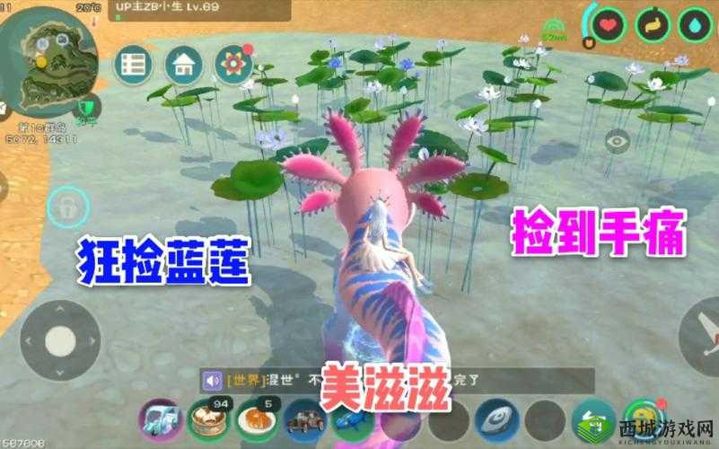 创造与魔法蓝莲花寻觅记,一湖只出一朵的珍稀之谜