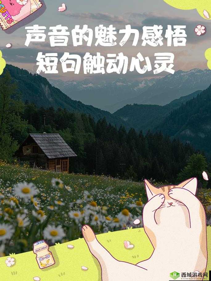 给老子叫老子要听:聆听内心最真实的声音和渴望