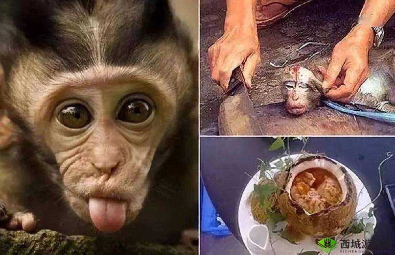 被吃小头头视频:令人震惊的残酷画面