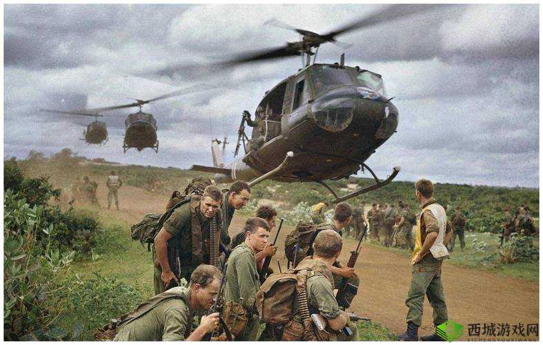 荒岛特训,码头轮船的战术与生存艺术