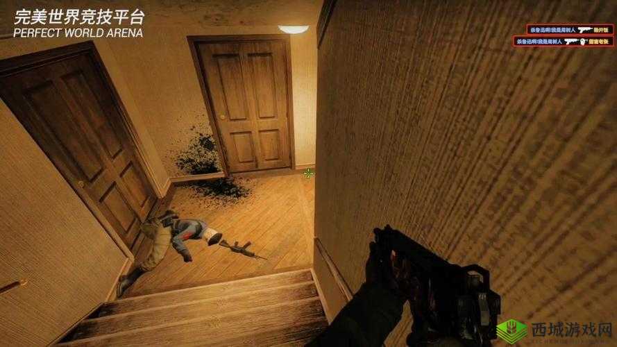 单亲妈妈玩 csgo:展现不一样的游戏人生与坚韧母爱