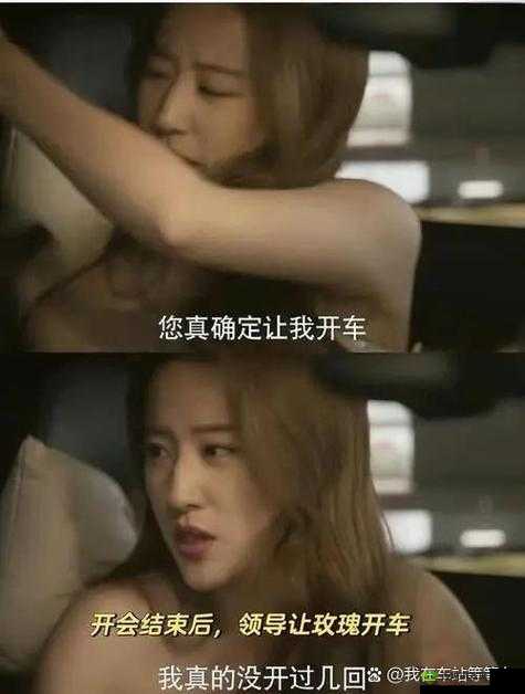 情欲电车日本:探寻欲望背后的故事与情感