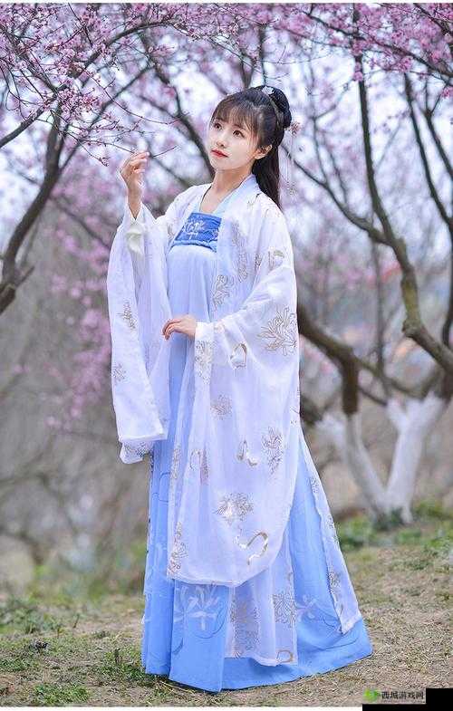 001 汉服齐胸襦裙啪啪含羞草:演绎古典之美