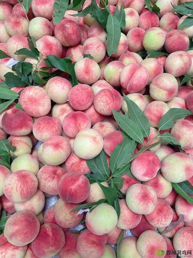 X7X7X7X7 任意噪水蜜桃：美味与独特口感的完美融合