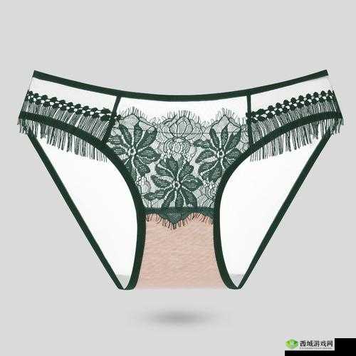 女式花三角裤头:关于其设计风格与时尚元素的探讨