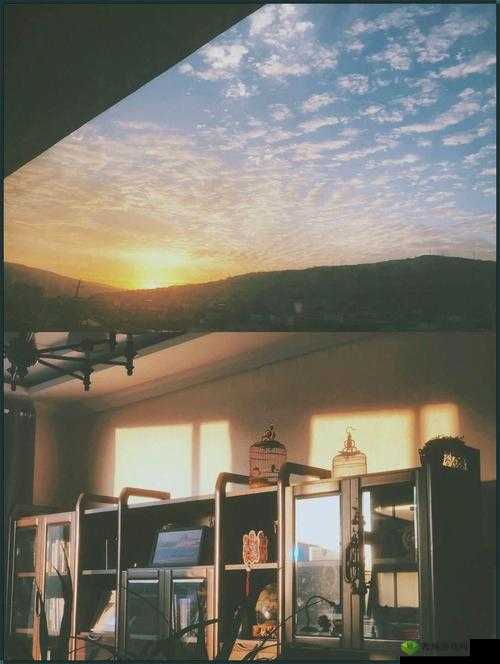 江教授的日常生活 1 ：丰富多彩的日常点滴与独特经历