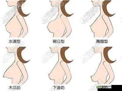 水滴形和圆形丰胸对比:哪种更适合你?