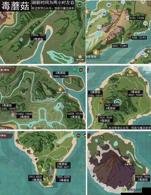 探秘创造与魔法的奇幻世界,毒蘑菇的奇妙之旅