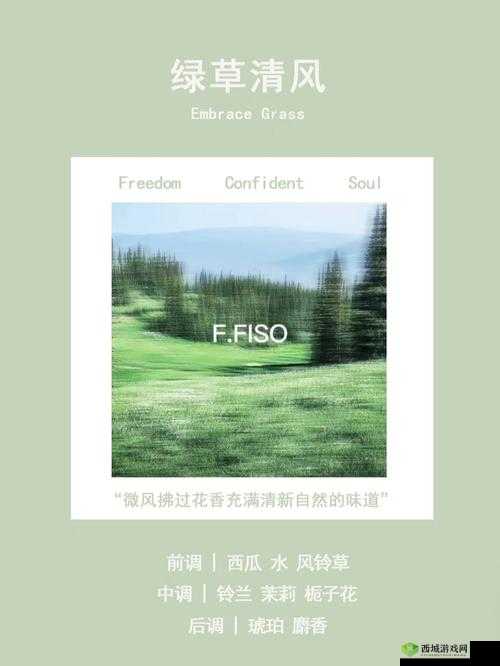 探索未知的视觉之旅:一本大道色卡 1 卡 2 卡 3 的奥秘