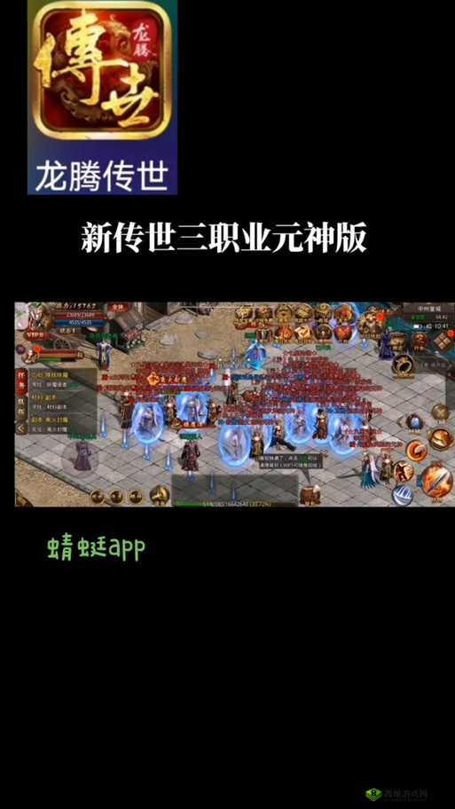 龙腾传世道士玩法深度剖析,元神选择的艺术