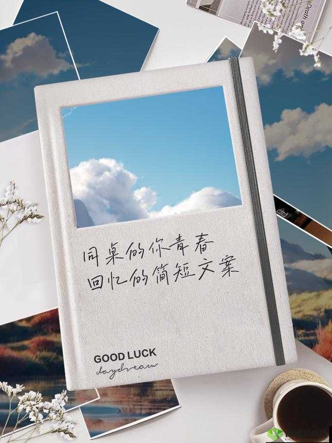 同桌的你:一个难以忘怀的夜晚