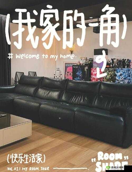 私人家庭影院密码是多少:探寻密码背后的神秘世界