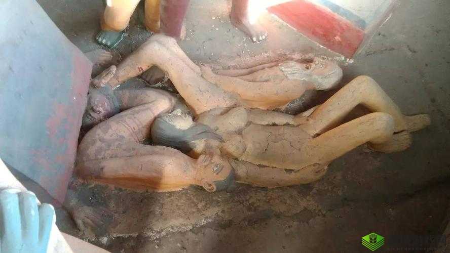 缅甸女子与 ZoZ 动交事件：揭示背后的真相与影响