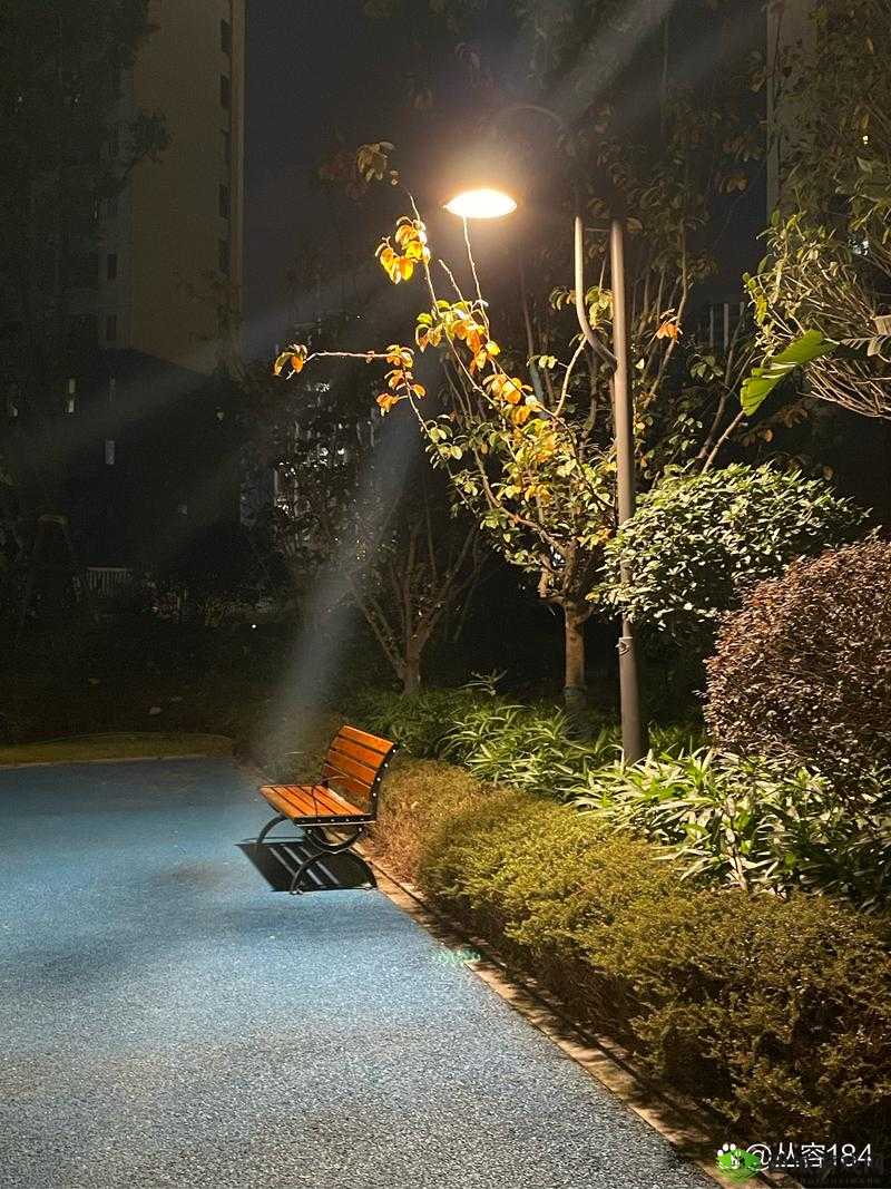 夜色迷离:窥探 91 夜色视频背后的故事