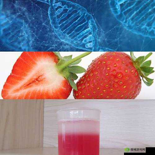 草莓湿漉漉:是好事还是恶性?探究其背后的真相