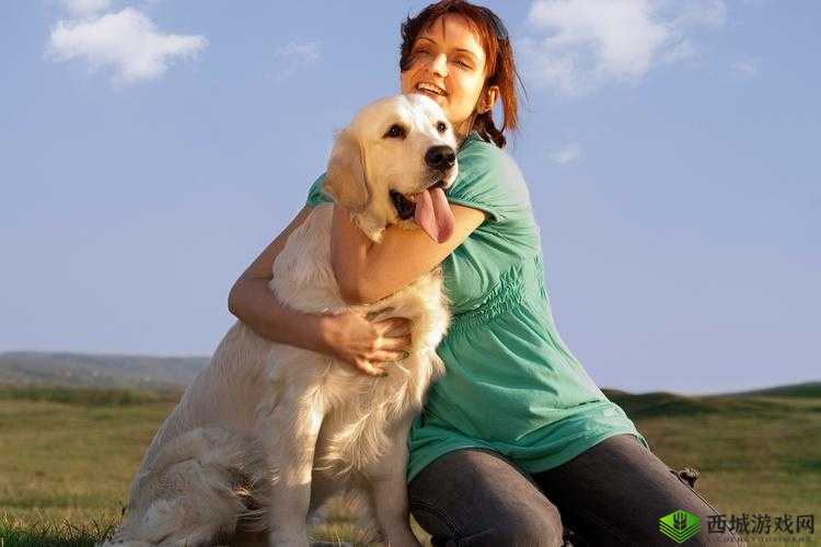 videosgratis 欧美人狗相关内容引发热议探讨