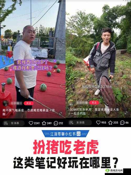 小猪视频app多人运动版:一款充满创意与趣味的应用软件