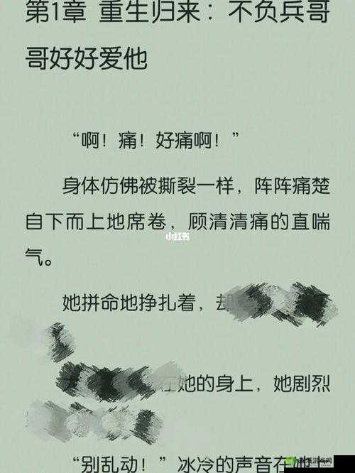 JY 灌溉收集系统顾清笔趣阁:带你领略奇妙幻想之旅