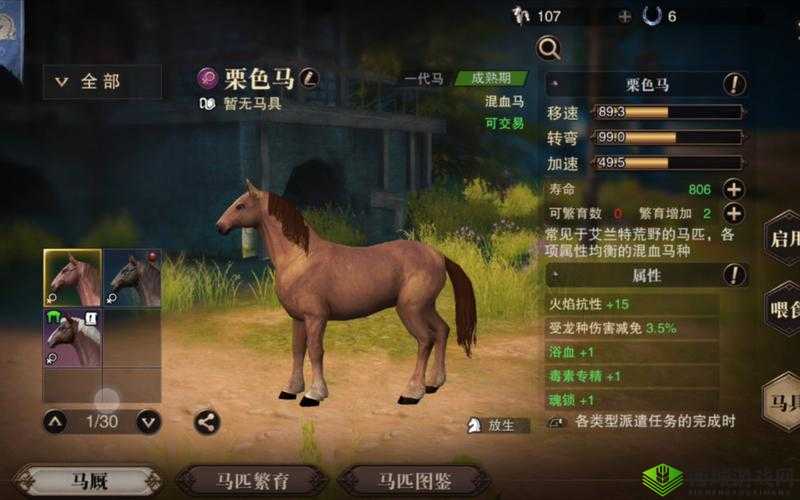 猎魂觉醒马匹驯服全攻略,快速捉马技巧揭秘