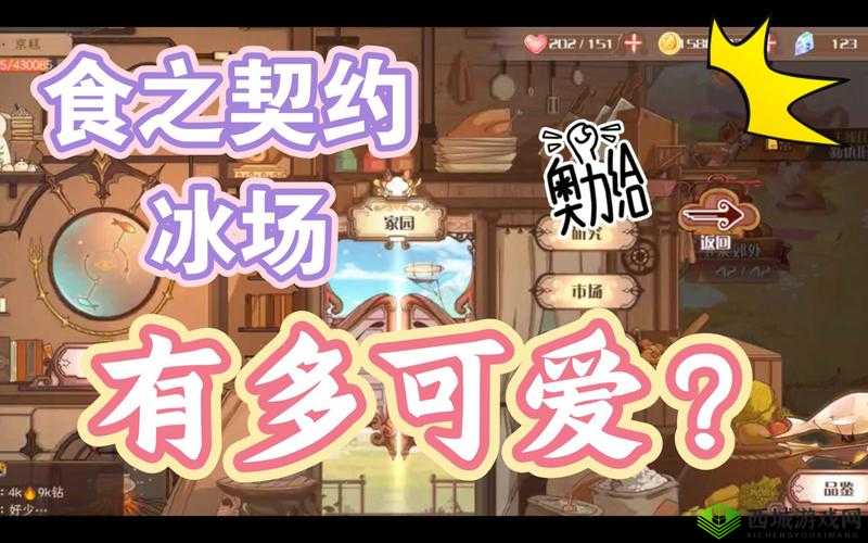 食之契约冰场材料汇总与进入路径,资源管理的艺术