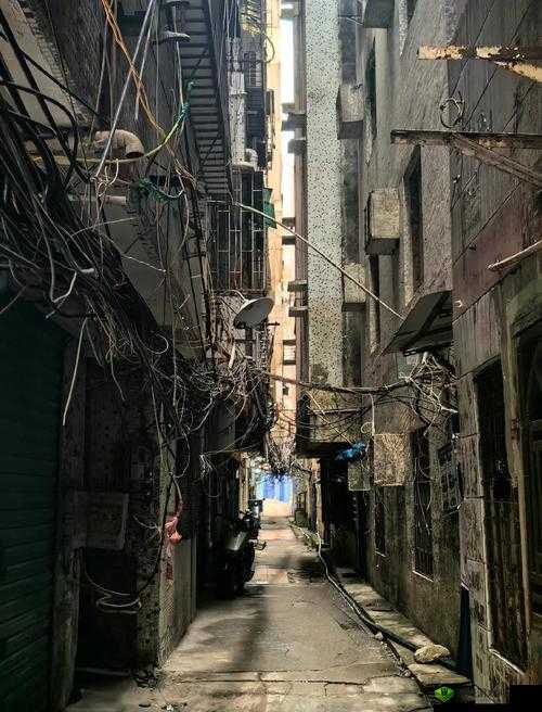 狗哥探店城中村 150：带你领略不一样的城中村落景象