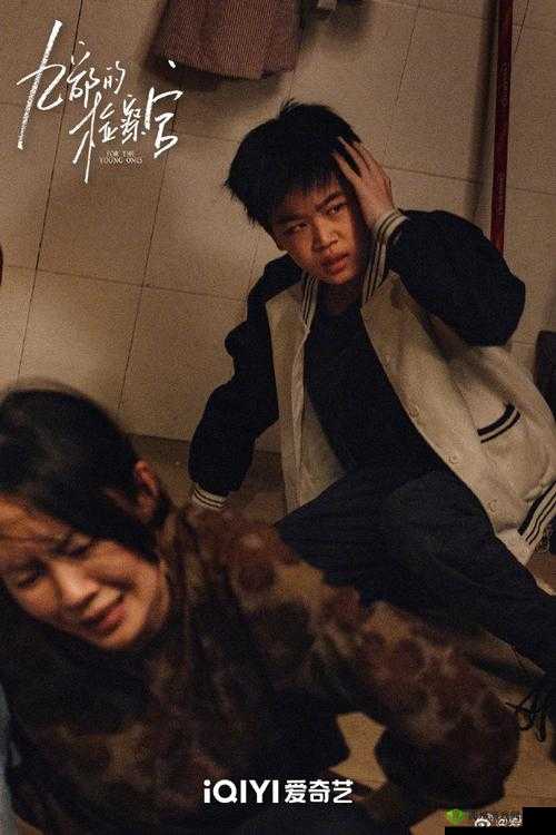 最近好看的 2019 免费：众多精彩影视等你来看