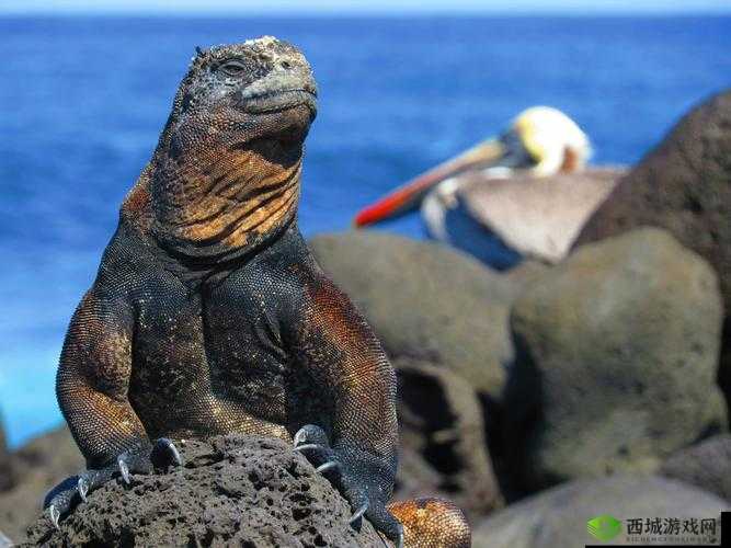 红皇后假说,生物进化的永不停歇赛跑