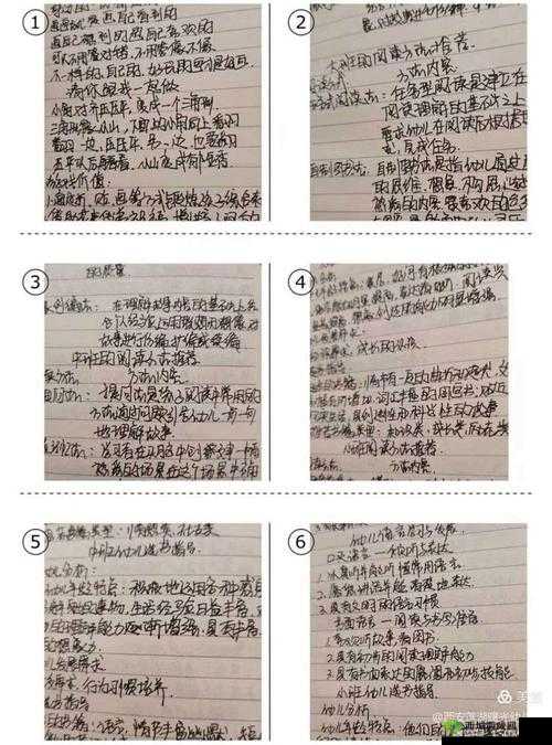 光荣使命快速提升排名心得,新手入门攻略