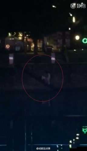 最新门事件图片:震惊世人的重大事件背后的真相究竟如何