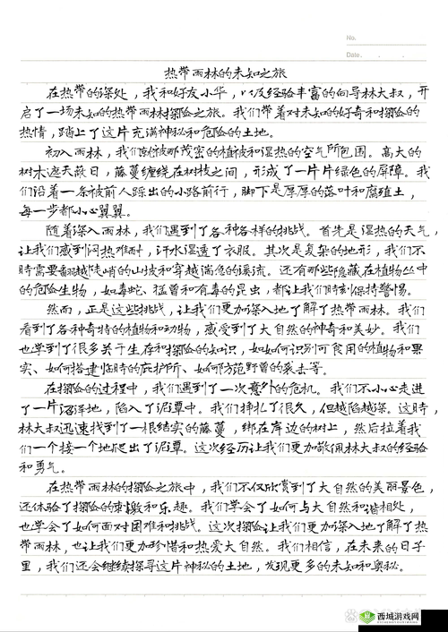 大坤戳进大括号:开启未知的奇妙冒险之旅