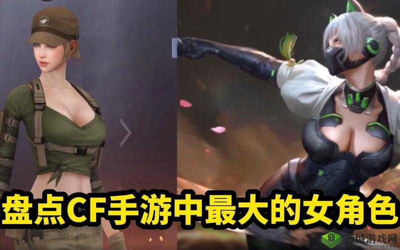 CF手游战略发布会12月21日发布大动作，资源管理视角下的深度剖析