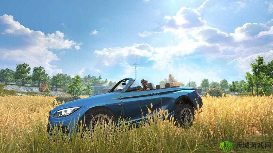 在终结者2，审判日这款游戏中，载具的选择对于玩家的生存和胜利至关重要。不同的载具拥有各自独特的性能和特点，适用于不同的战术和场景。以下是对游戏中各种载具的详细分析，帮助玩家更好地选择适合自己的载具。