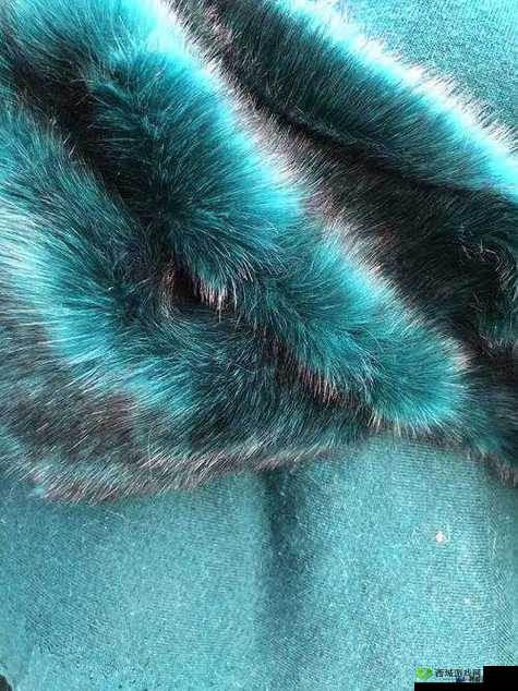 AAAA 级毛皮是正规品牌吗:深入探究其品牌的真实性与可靠性