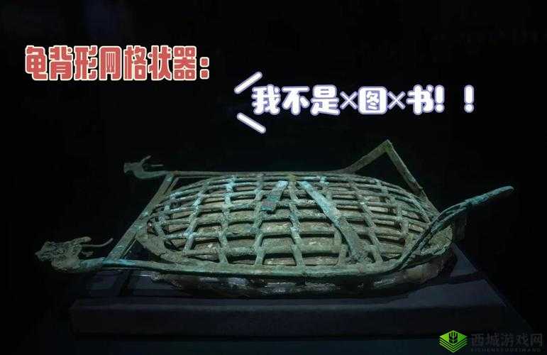 操大姐骚 B:揭开网络背后的神秘面纱