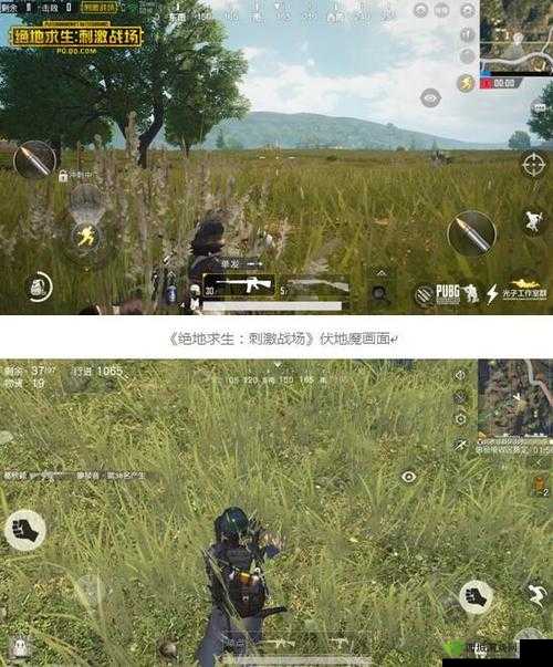 荒野行动红房设诱饵战术攻略,伏地魔等你来