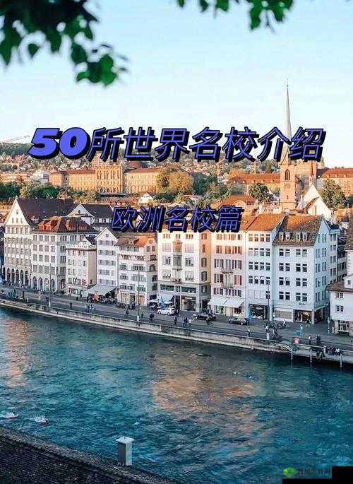 威久国际精彩视频:打开世界名校之门的钥匙