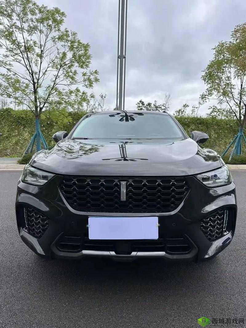 Wey VV5 国产的 SUV:畅享极致驾乘体验的魅力之选