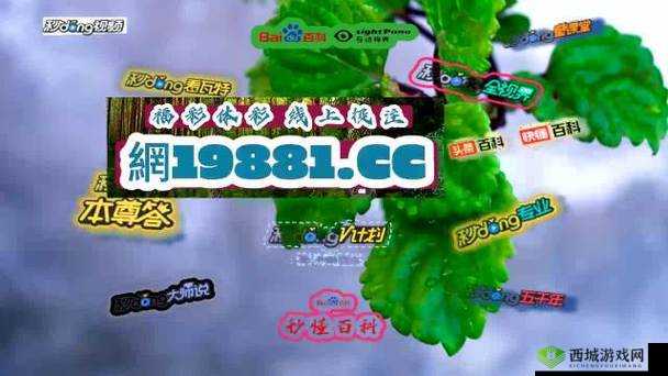 发现更多精彩:探索神秘的 7777 网站