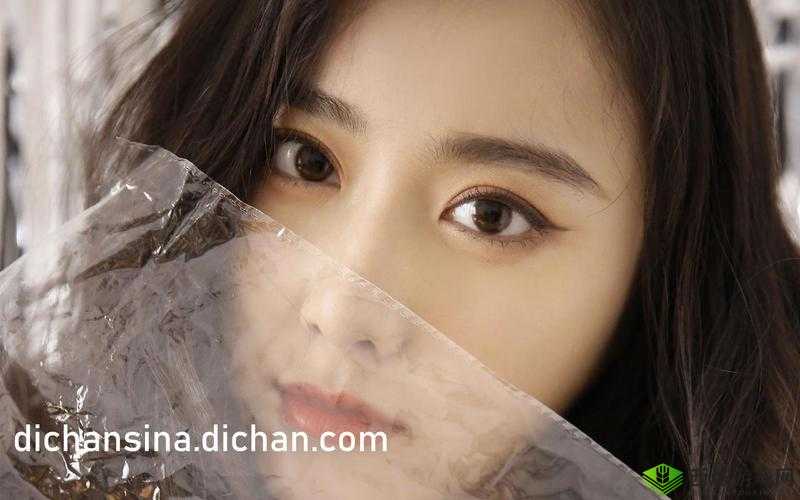 无码专区黄色:成年人的私密领域