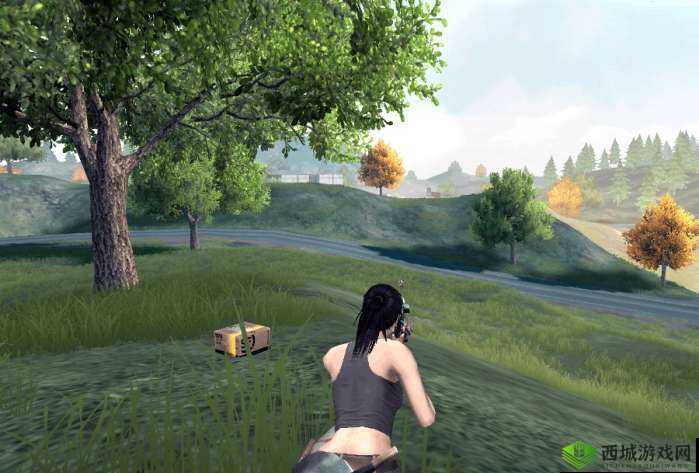 CF手游荒岛特训冷知识介绍，了解越多，胜算越大