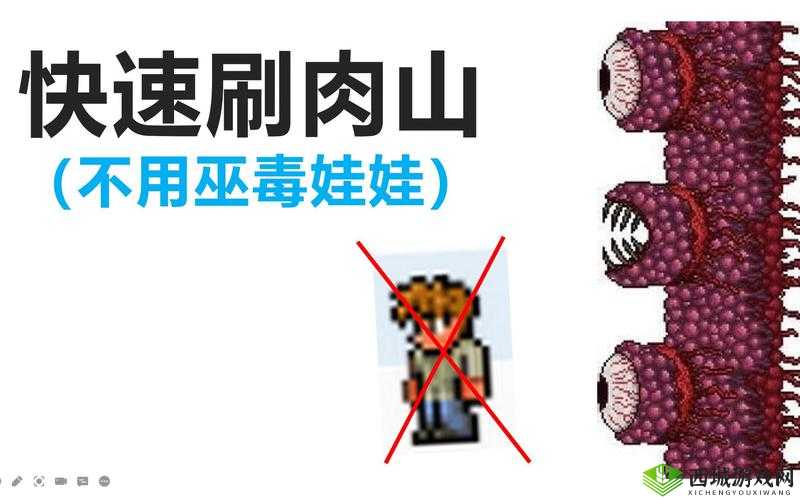 不思议迷宫巫毒娃娃选择,选娃娃、道具还是标本在资源管理中的重要性及策略