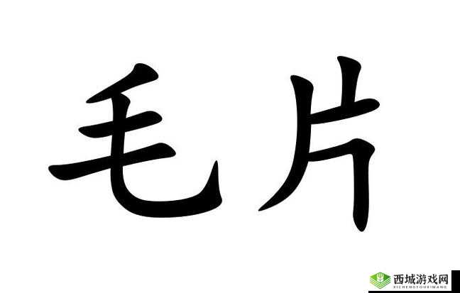 毛片毛片是个毛片:探讨其背后的文化现象与社会影响